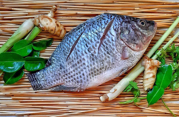 Kamu Harus Tahu: 5 Jenis Ikan Ini Sebaiknya Tidak Dikonsumsi Berlebihan    