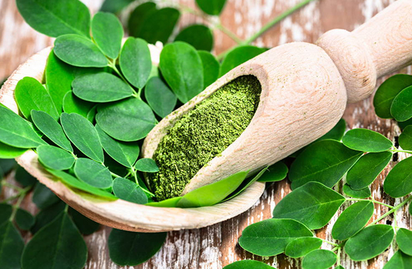 Inilah Superfood yang Diburu Eropa Hingga Amerika