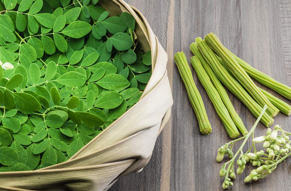 Inilah Superfood yang Diburu Eropa Hingga Amerika