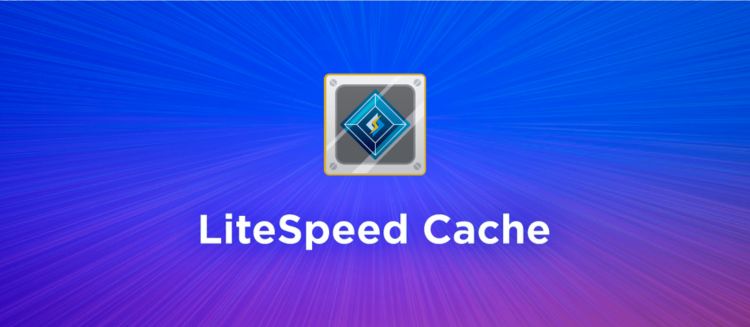 litespeed cache - plugin wordpress terbaik untuk bisnis